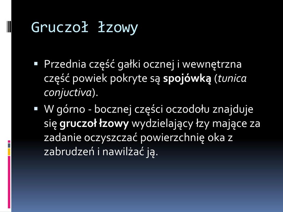 W górno - bocznej części oczodołu znajduje się gruczoł łzowy