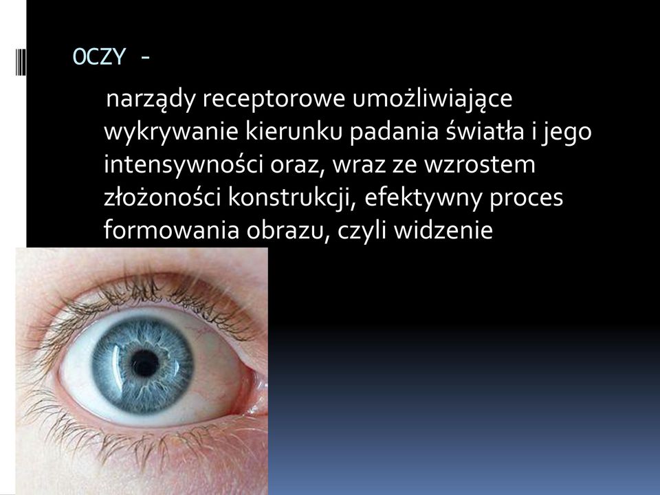 intensywności oraz, wraz ze wzrostem złożoności