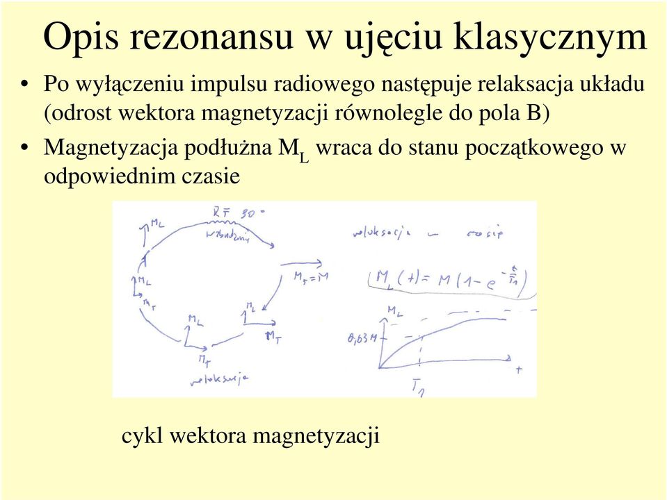 magnetyzacji równolegle do pola B) Magnetyzacja podłużna M L