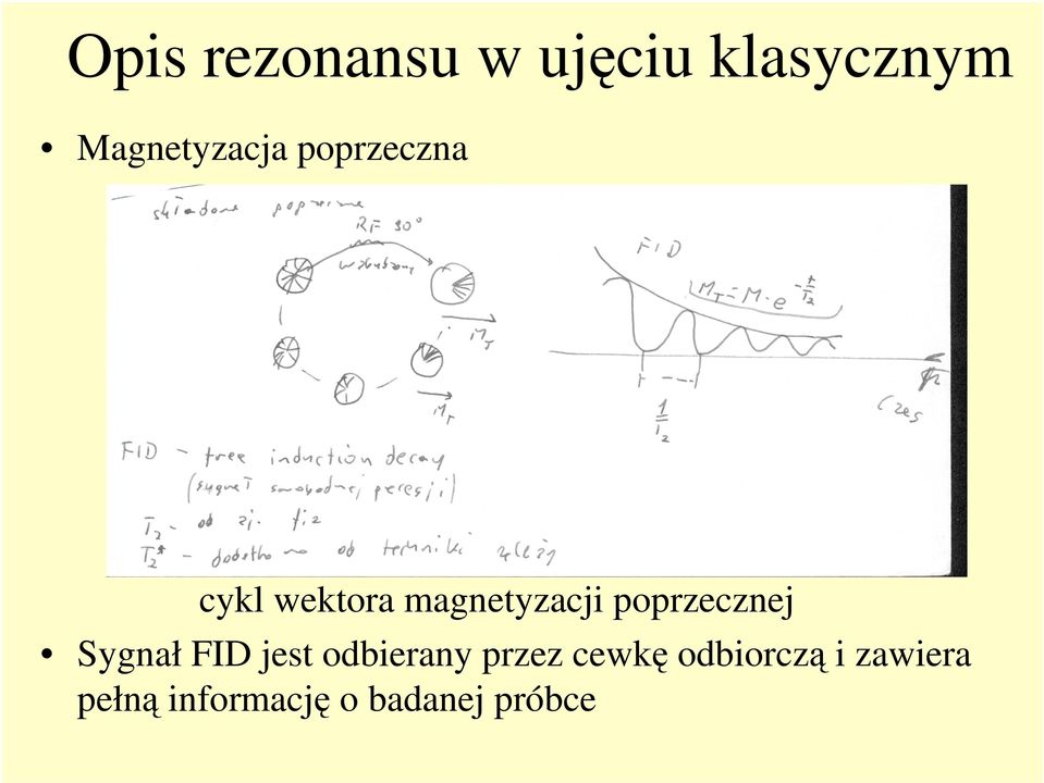 magnetyzacji poprzecznej Sygnał FID jest