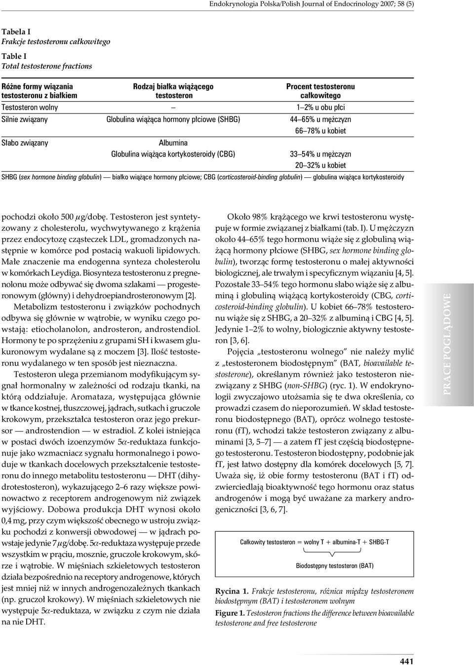 związany Albumina Globulina wiążąca kortykosteroidy (CBG) 33 54% u mężczyzn 20 32% u kobiet SHBG (sex hormone binding globulin) białko wiążące hormony płciowe; CBG (corticosteroid-binding globulin)