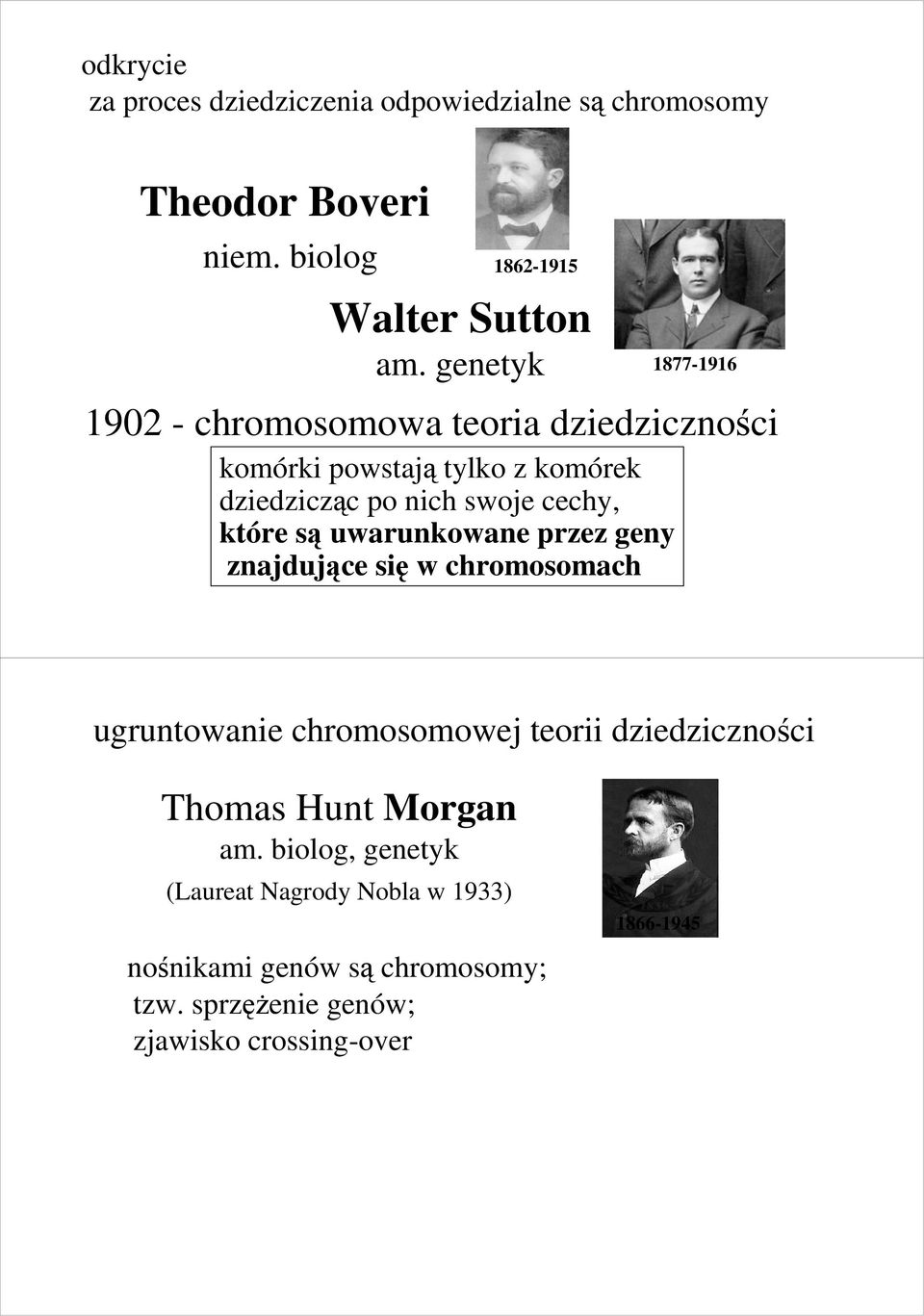 które są uwarunkowane przez geny znajdujące się w chromosomach ugruntowanie chromosomowej teorii dziedziczności Thomas Hunt
