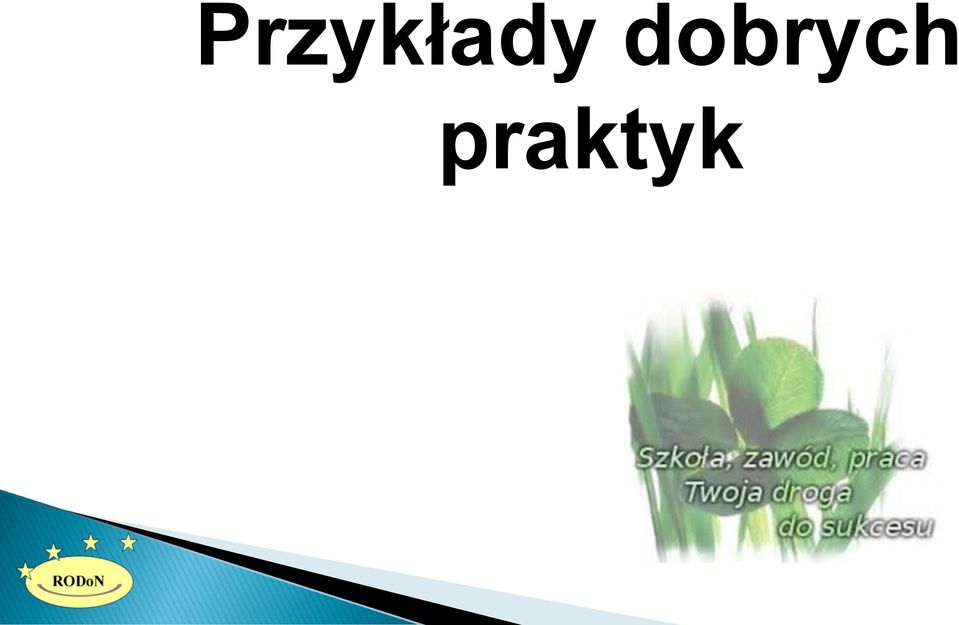 praktyk