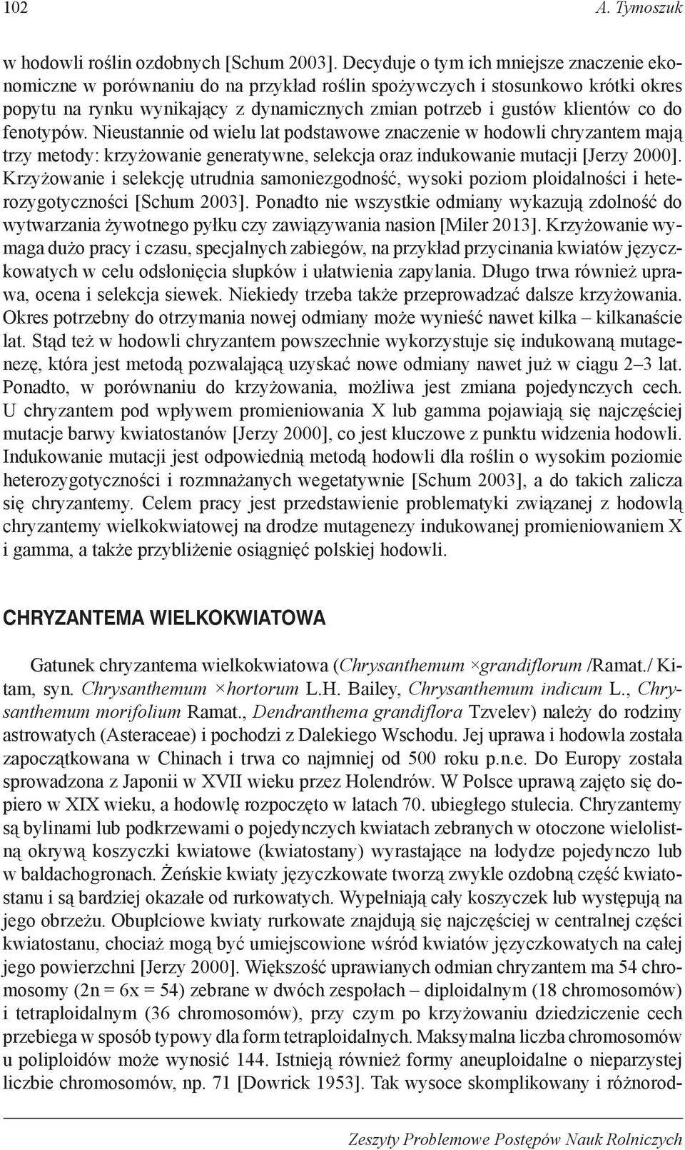 do fenotypów. Nieustannie od wielu lat podstawowe znaczenie w hodowli chryzantem mają trzy metody: krzyżowanie generatywne, selekcja oraz indukowanie mutacji [Jerzy 2000].