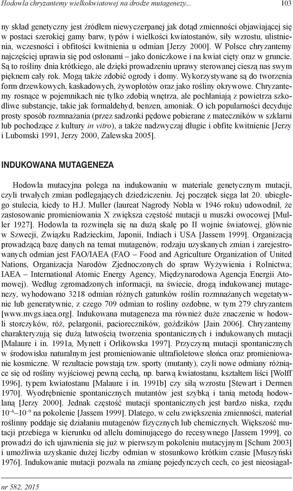 obfitości kwitnienia u odmian [Jerzy 2000]. W Polsce chryzantemy najczęściej uprawia się pod osłonami jako doniczkowe i na kwiat cięty oraz w gruncie.
