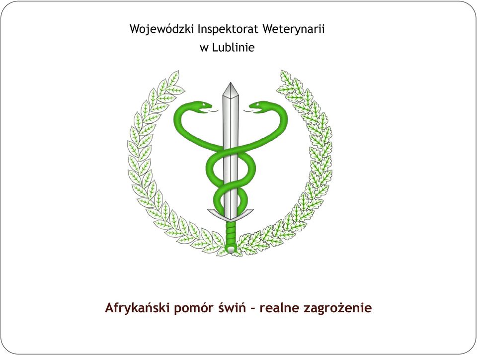 Weterynarii w
