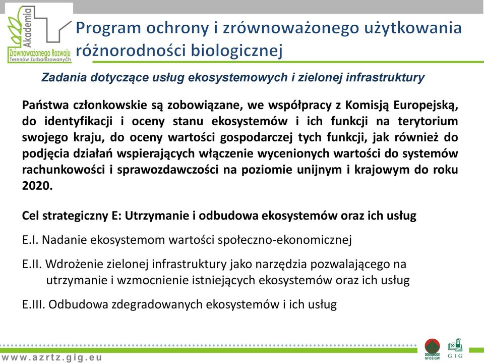 sprawozdawczości na poziomie unijnym i krajowym do roku 2020. Cel strategiczny E: Utrzymanie i odbudowa ekosystemów oraz ich usług E.I.