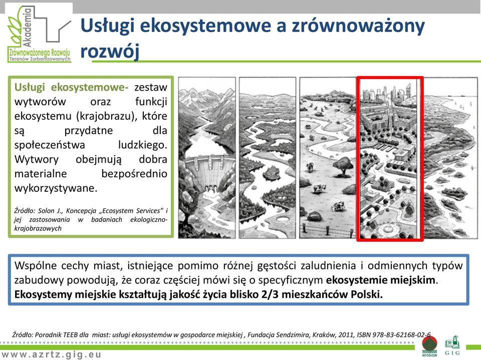 , Koncepcja Ecosystem Services i jej zastosowania w badaniach ekologicznokrajobrazowych Wspólne cechy miast, istniejące pomimo różnej gęstości zaludnienia i odmiennych typów