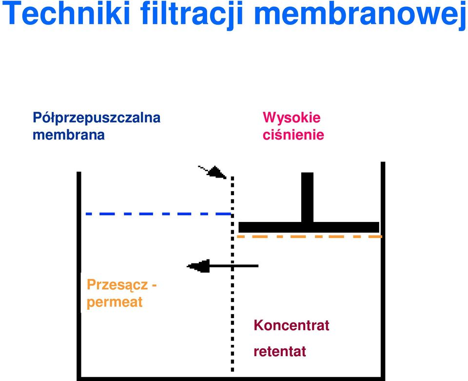 przepuszczalna membrana