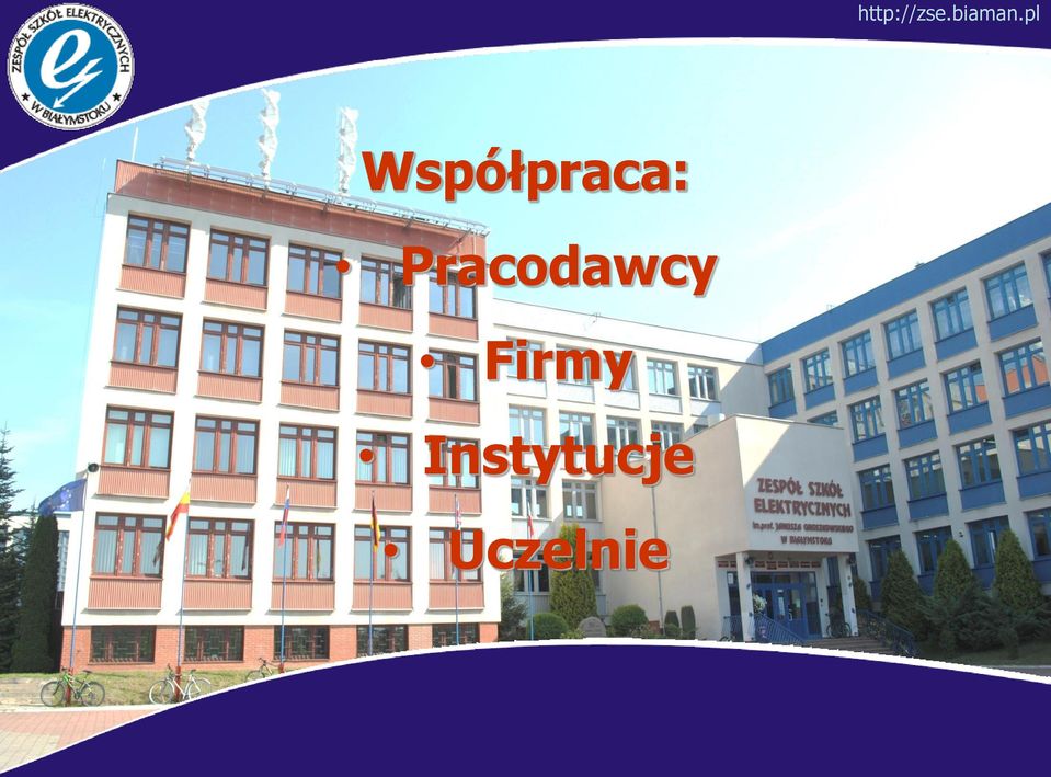 Firmy