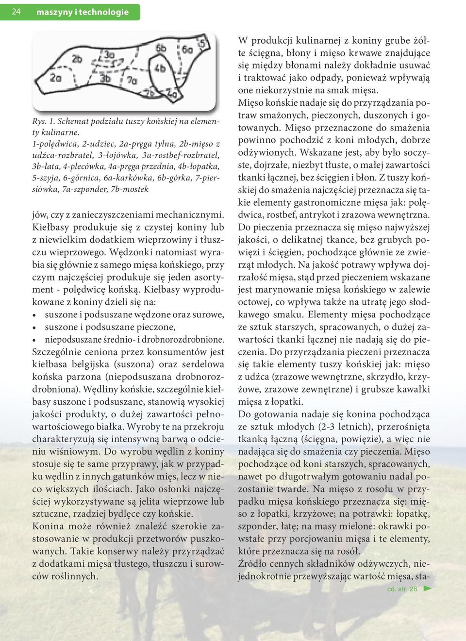 7-piersiówka, 7a-szponder, 7b-mostek jów, czy z zanieczyszczeniami mechanicznymi. Kiełbasy produkuje się z czystej koniny lub z niewielkim dodatkiem wieprzowiny i tłuszczu wieprzowego.