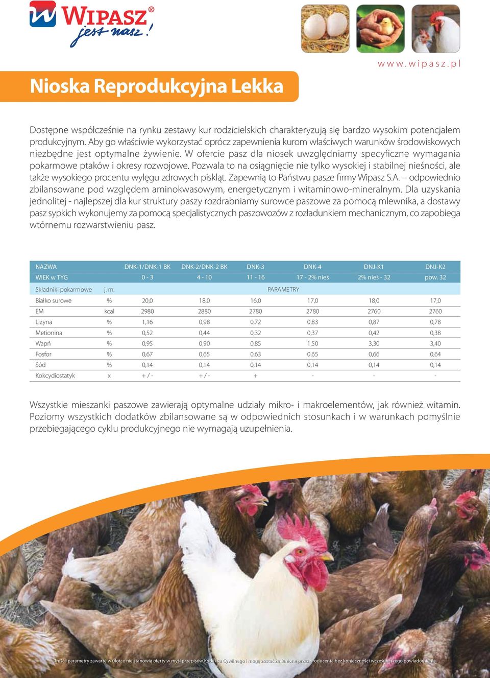 W ofercie pasz dla niosek uwzględniamy specyficzne wymagania pokarmowe ptaków i okresy rozwojowe.
