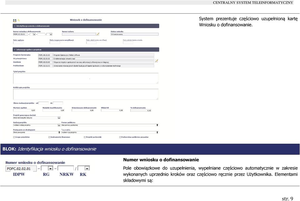 NRKW RK Pole obowiązkowe do uzupełnienia, wypełniane częściowo automatycznie w