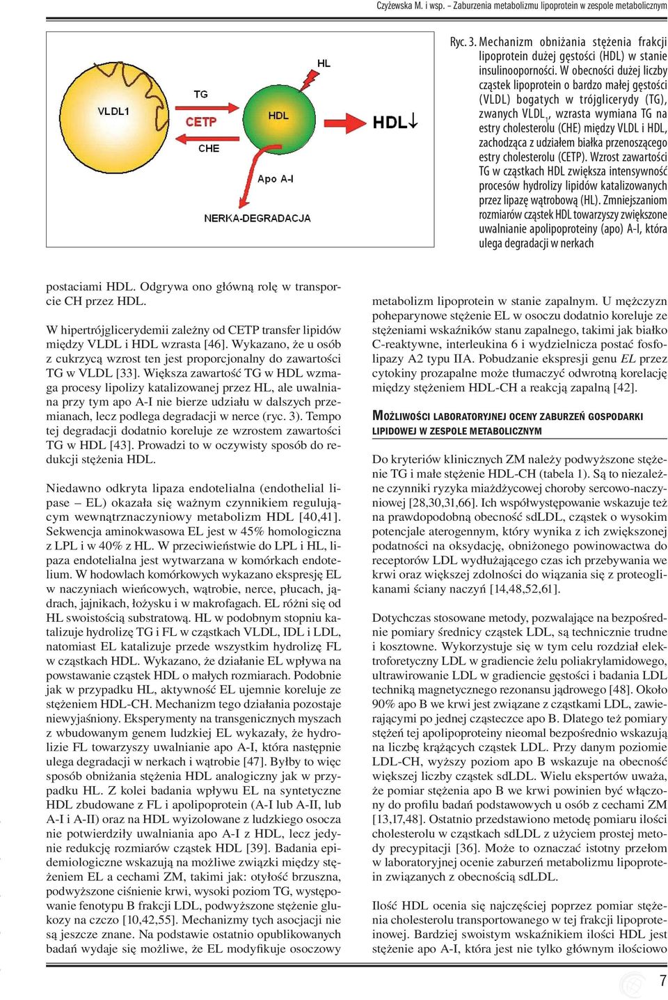 z udziałem białka przenoszącego estry cholesterolu (CETP). Wzrost zawartości TG w cząstkach HDL zwiększa intensywność procesów hydrolizy lipidów katalizowanych przez lipazę wątrobową (HL).