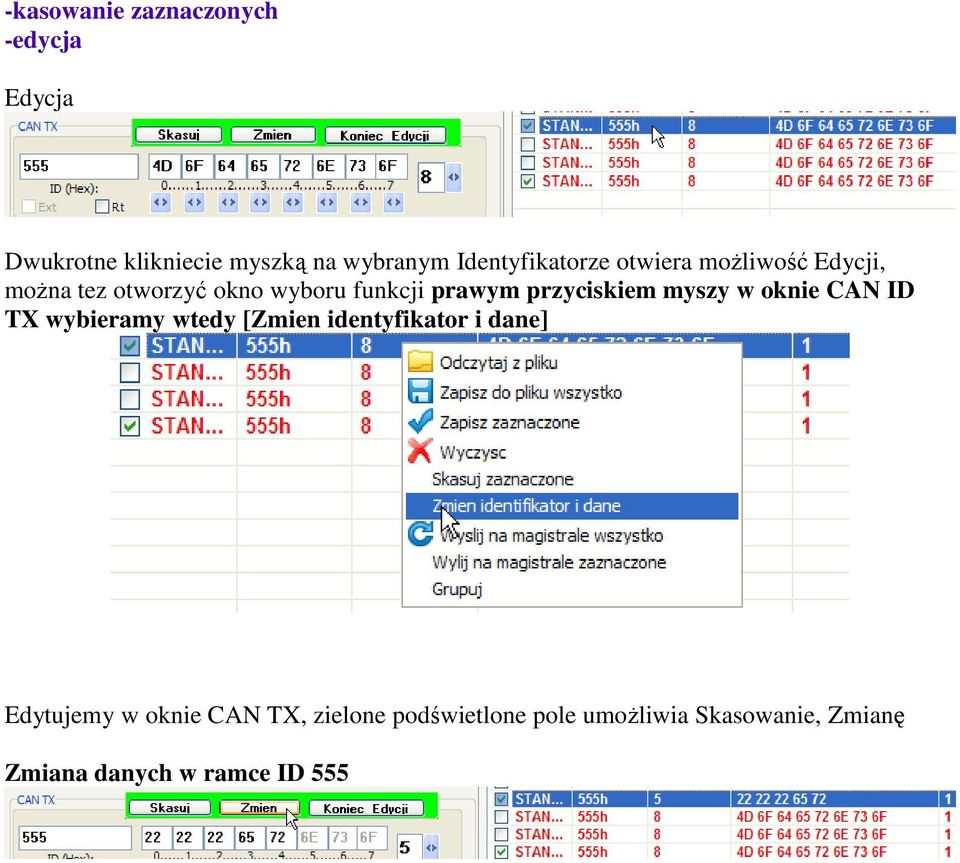 przyciskiem myszy w oknie CAN ID TX wybieramy wtedy [Zmien identyfikator i dane]