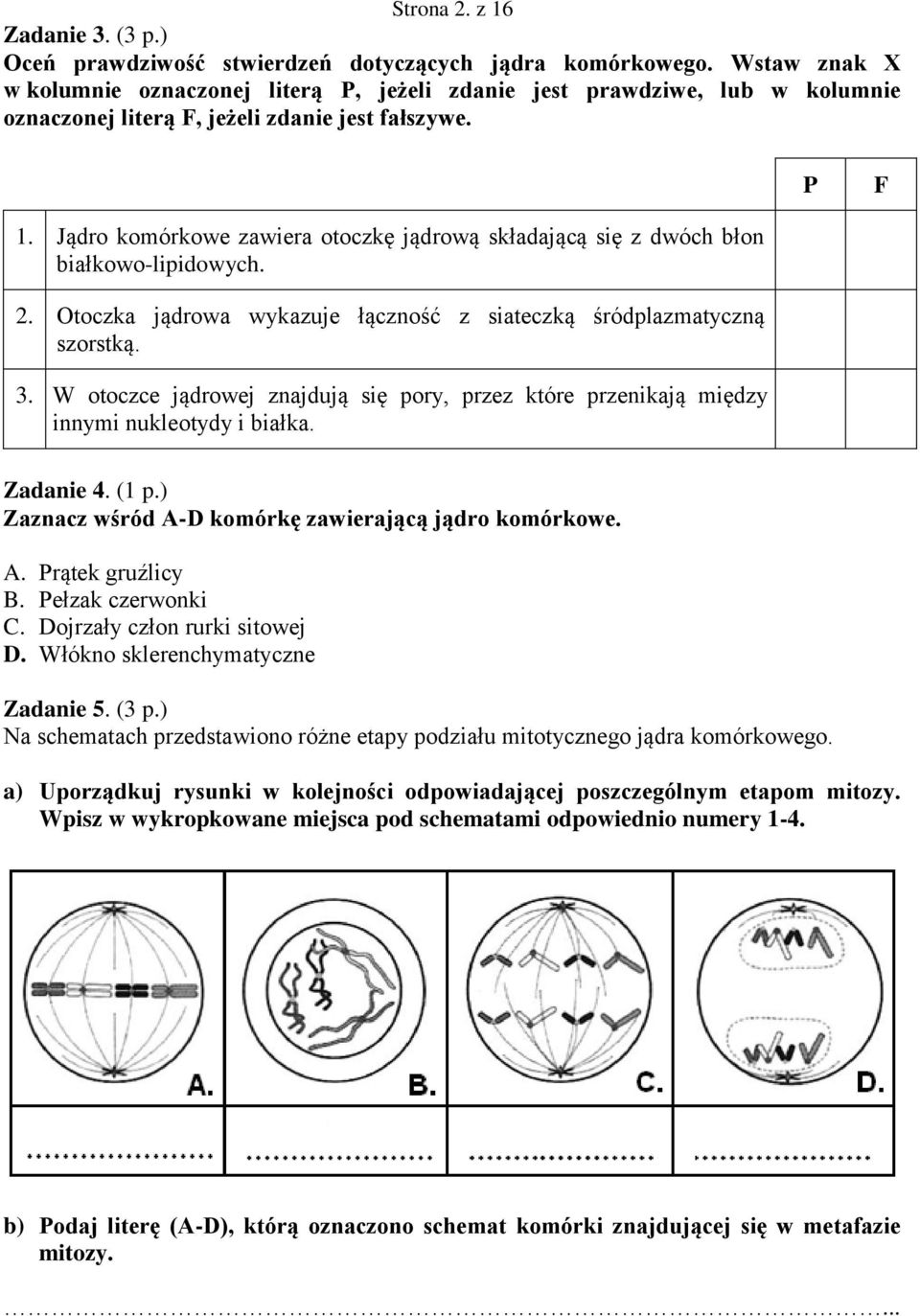 Jądro komórkowe zawiera otoczkę jądrową składającą się z dwóch błon białkowo-lipidowych.. Otoczka jądrowa wykazuje łączność z siateczką śródplazmatyczną szorstką. 3.