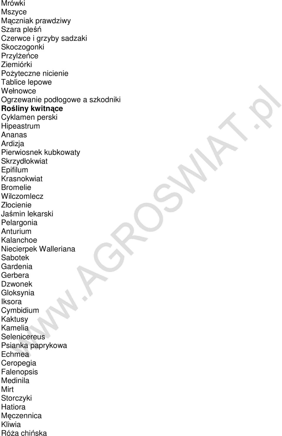 Krasnokwiat Bromelie Wilczomlecz Złocienie Jaśmin lekarski Pelargonia Anturium Kalanchoe Niecierpek Walleriana Sabotek Gardenia Gerbera Dzwonek