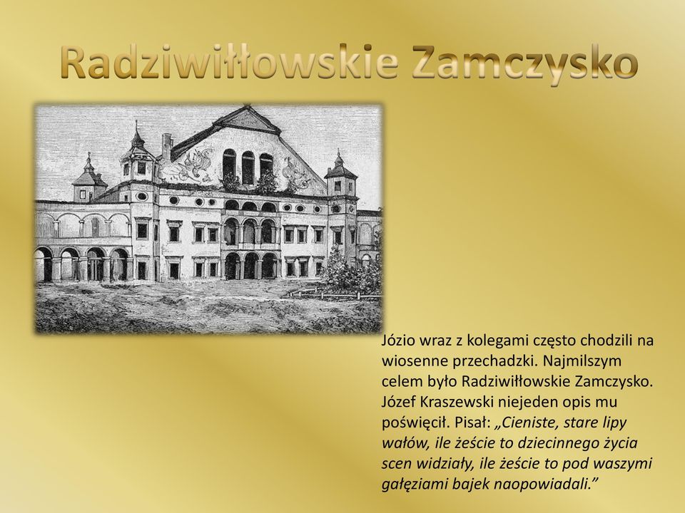 Józef Kraszewski niejeden opis mu poświęcił.