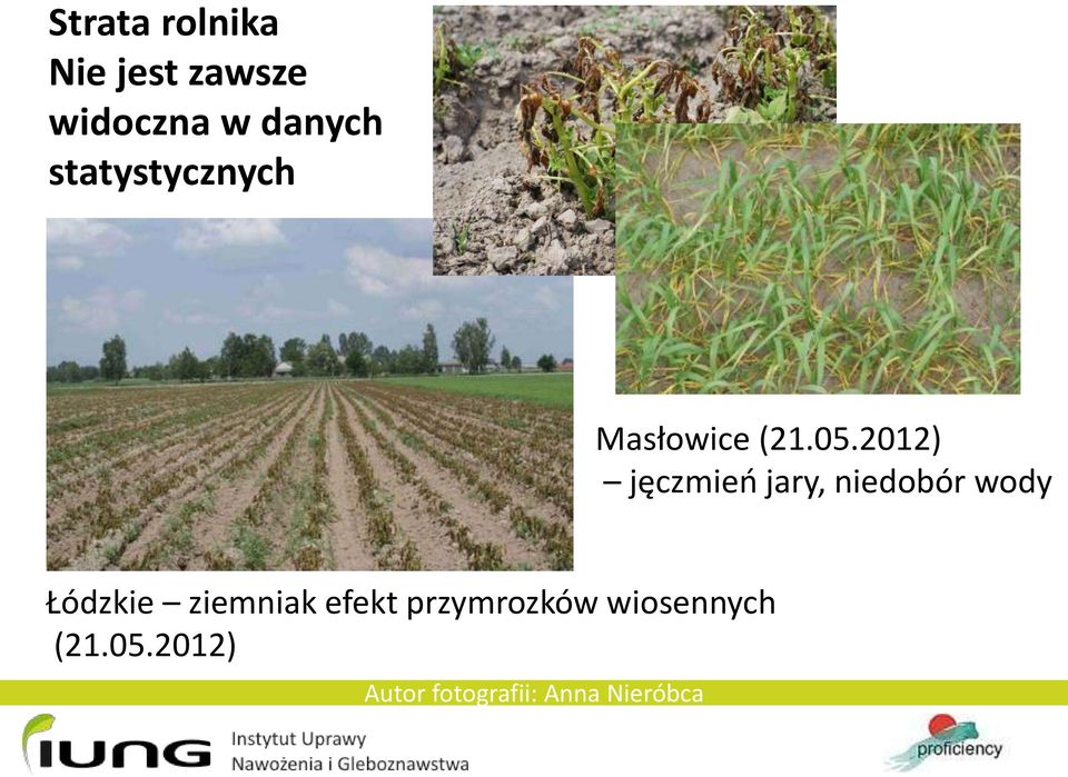 2012) jęczmień jary, niedobór wody Łódzkie ziemniak