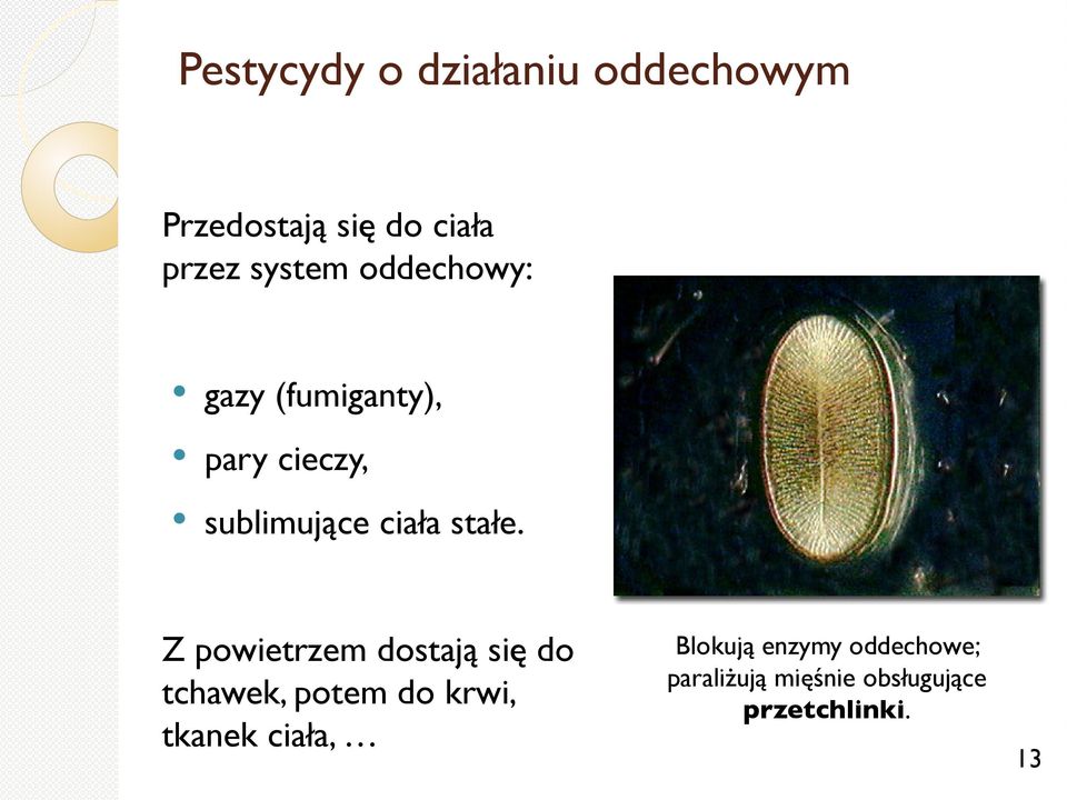 stałe.