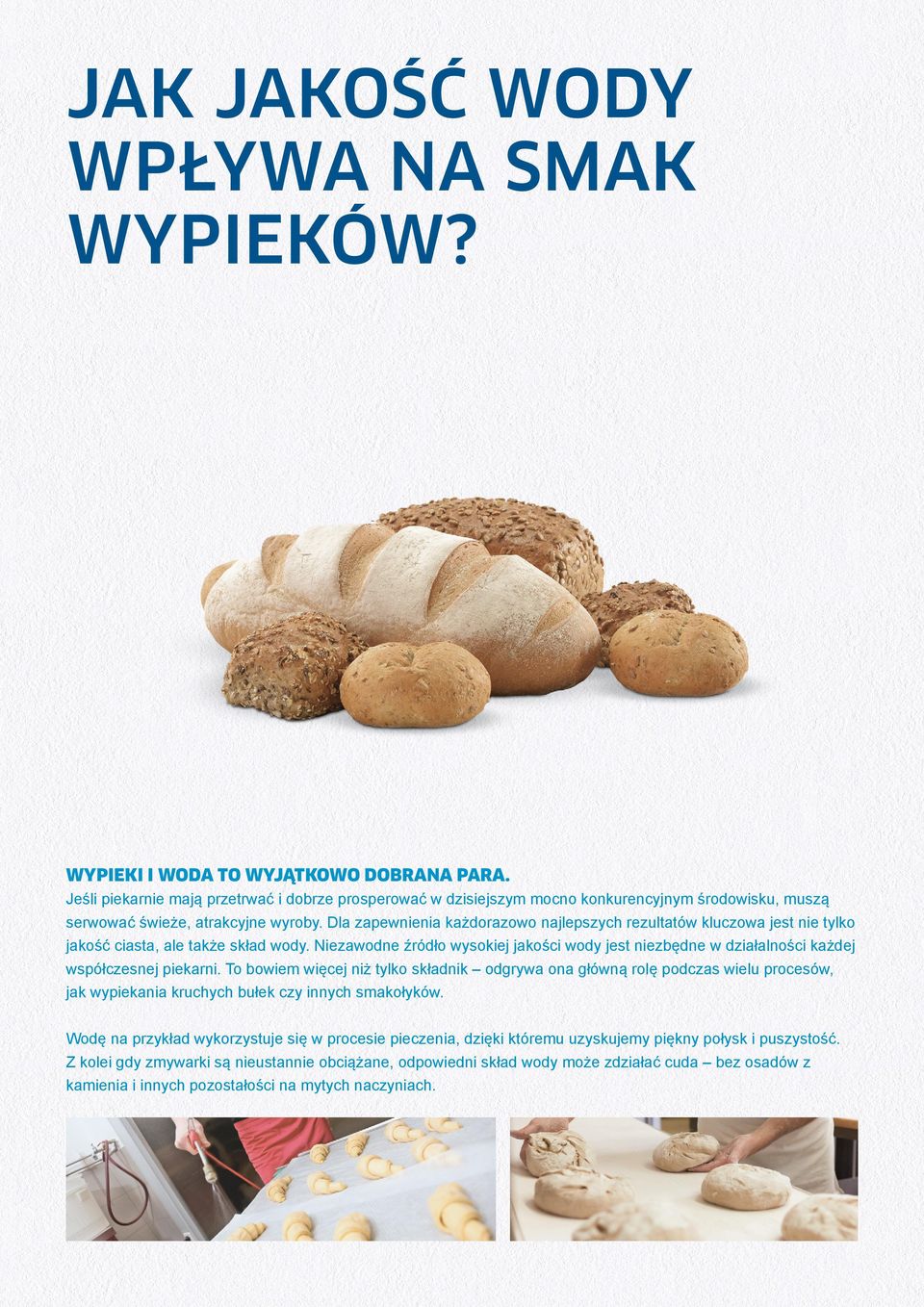 Dla zapewnienia każdorazowo najlepszych rezultatów kluczowa jest nie tylko jakość ciasta, ale także skład wody.