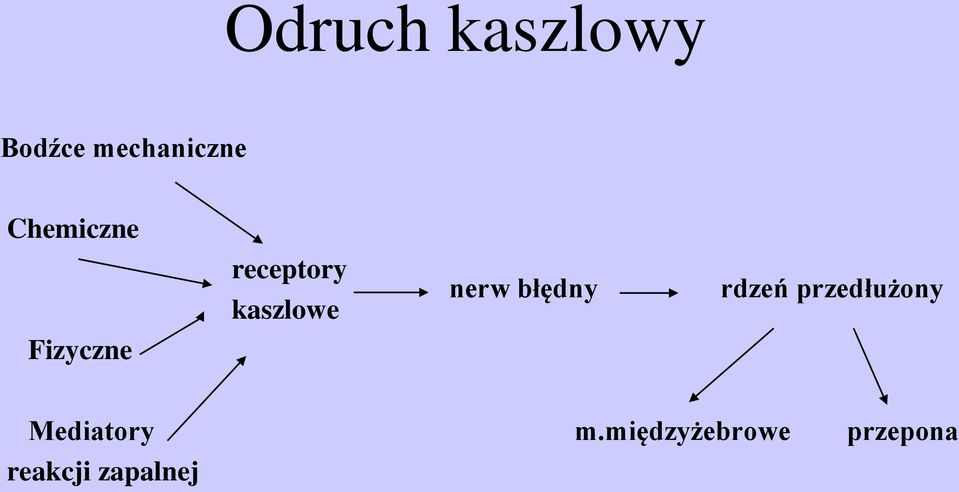 nerw błędny rdzeń przedłużony