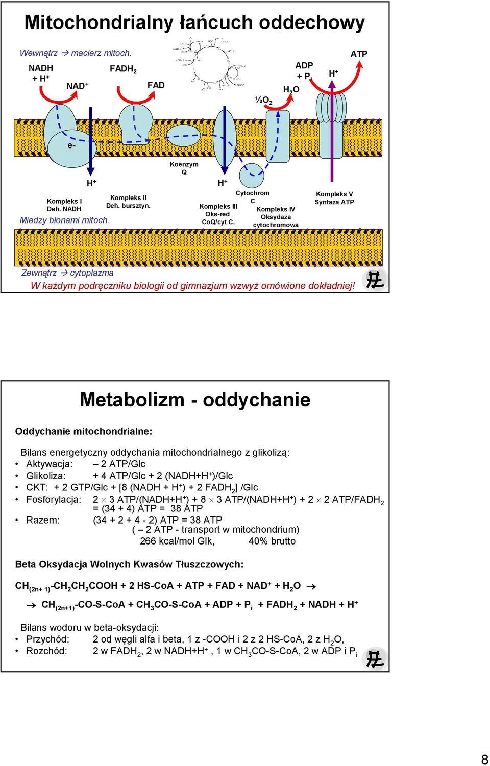 Cytochrom C Kompleks IV Oksydaza cytochromowa Kompleks V Syntaza ATP Zewnątrz cytoplazma Metabolizm - oddychanie Oddychanie mitochondrialne: Bilans energetyczny oddychania mitochondrialnego z