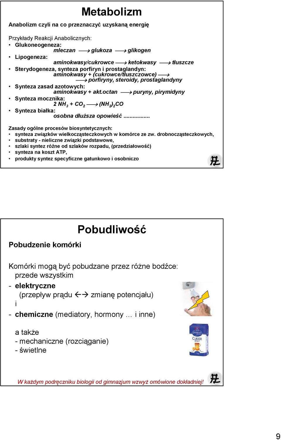 octan puryny, pirymidyny Synteza mocznika: 2 NH 3 + CO 2 (NH 2 ) 2 CO Synteza białka: osobna dłuŝsza opowieść.