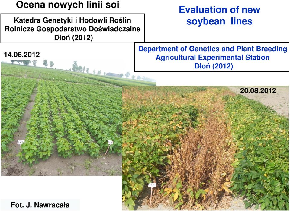 2012 Evaluation of new soybean lines Department of Genetics and