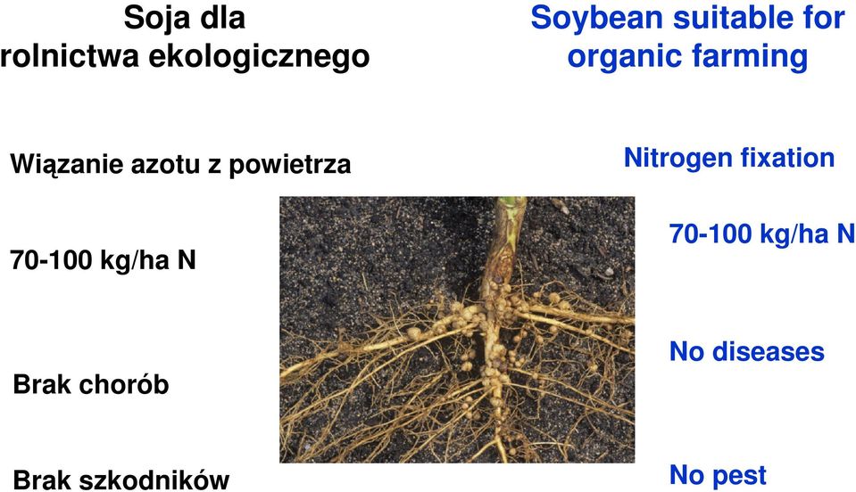 powietrza 70-100 kg/ha N Nitrogen fixation