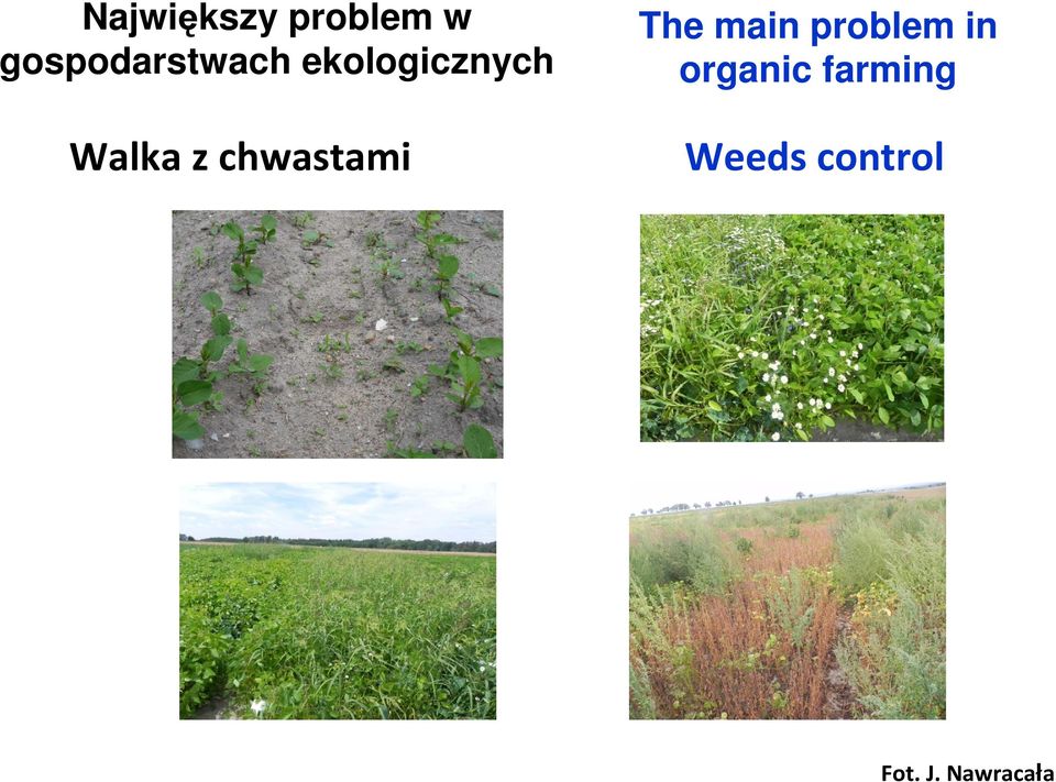 main problem in organic farming