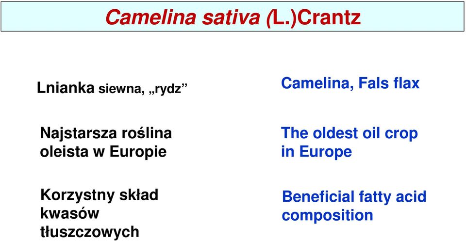 Najstarsza roślina oleista w Europie The oldest