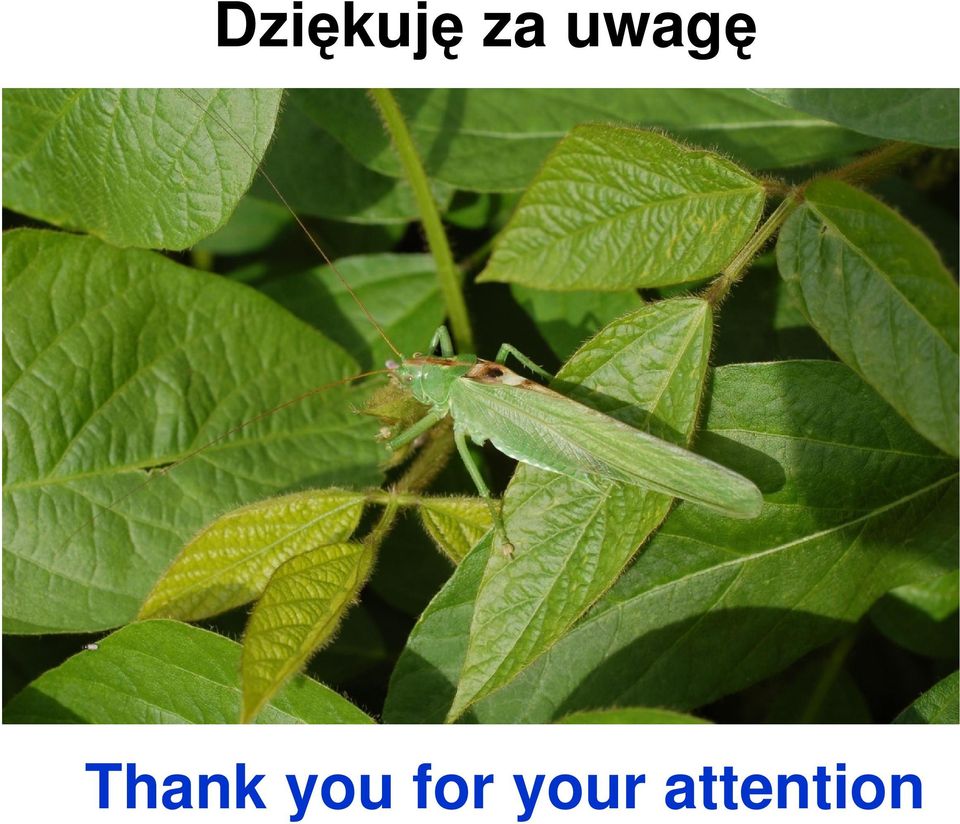 you for
