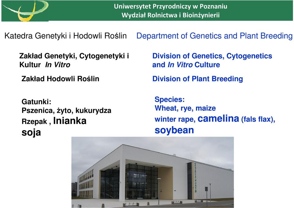 Breeding Division of Genetics, Cytogenetics and In Vitro Culture Division of Plant Breeding Gatunki: