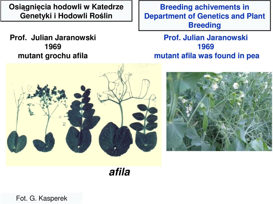 in Department of Genetics and Plant Breeding Prof.