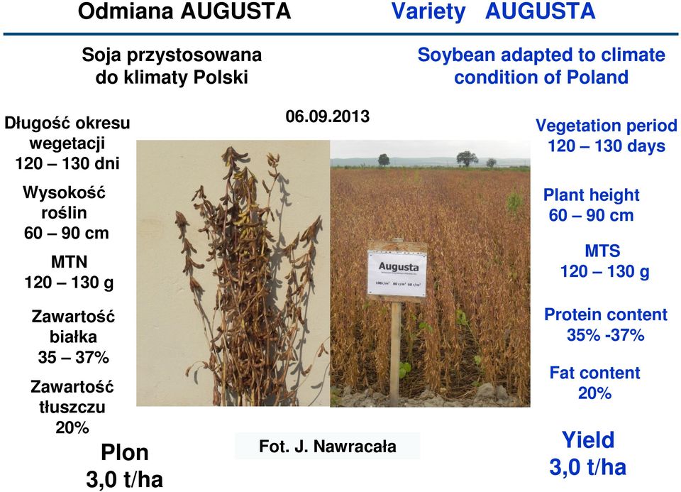 2013 Soybean adapted to climate condition of Poland Vegetation period 120 130 days Plant height 60