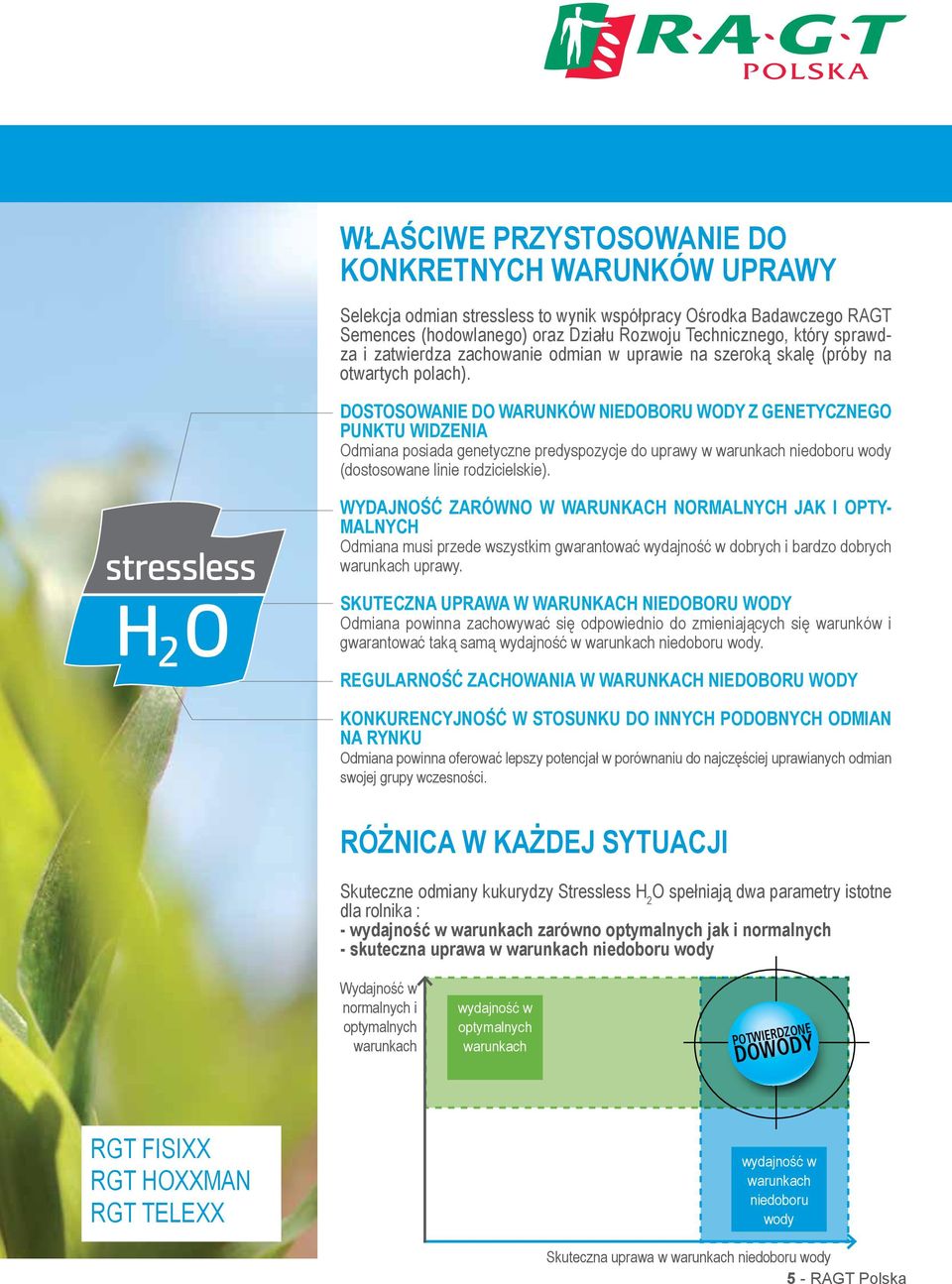 DOSTOSOWANIE DO WARUNKÓW NIEDOBORU WODY Z GENETYCZNEGO PUNKTU WIDZENIA Odmiana posiada genetyczne predyspozycje do uprawy w warunkach niedoboru wody (dostosowane linie rodzicielskie).