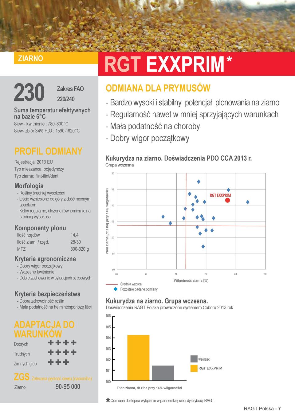 Ilość rzędów 14,4 Ilość ziarn. / rzęd.
