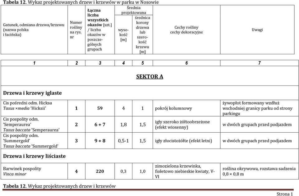 krzewy iglaste Cis pośredni odm. Hicksa Taxus media Hicksii 1 59 4 1 pokrój kolumnowy Cis pospolity odm. Semperaurea Taxus baccata Semperaurea Cis pospolity odm.