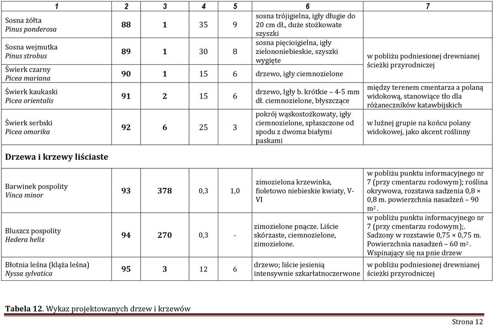 sosna pięcioigielna, igły zielononiebieskie, szyszki wygięte 90 1 15 6 drzewo, igły ciemnozielone 91 2 15 6 92 6 25 3 drzewo, Igły b. krótkie 4-5 mm dł.