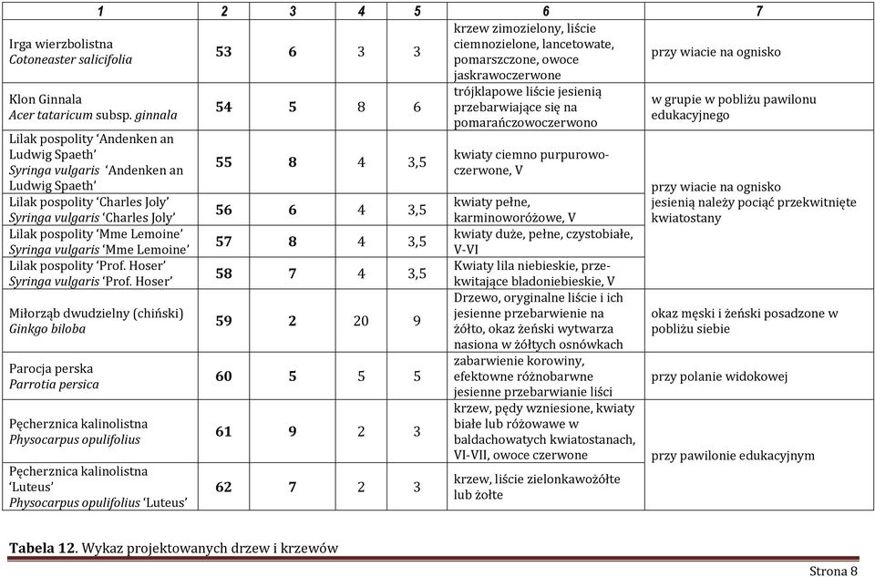 Mme Lemoine Lilak pospolity Prof. Hoser Syringa vulgaris Prof.