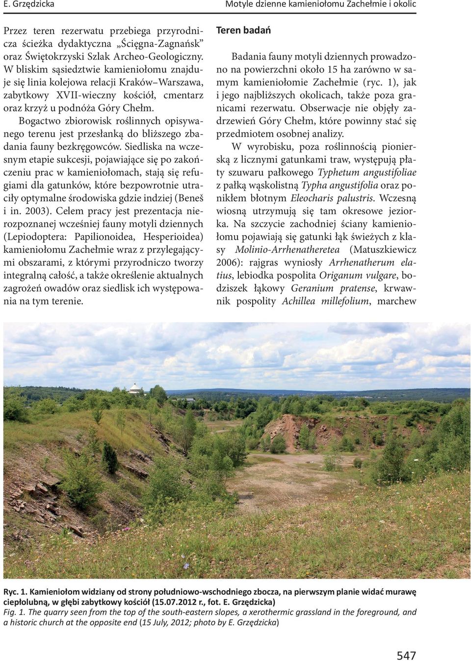 Bogactwo zbiorowisk roślinnych opisywanego terenu jest przesłanką do bliższego zbadania fauny bezkręgowców.