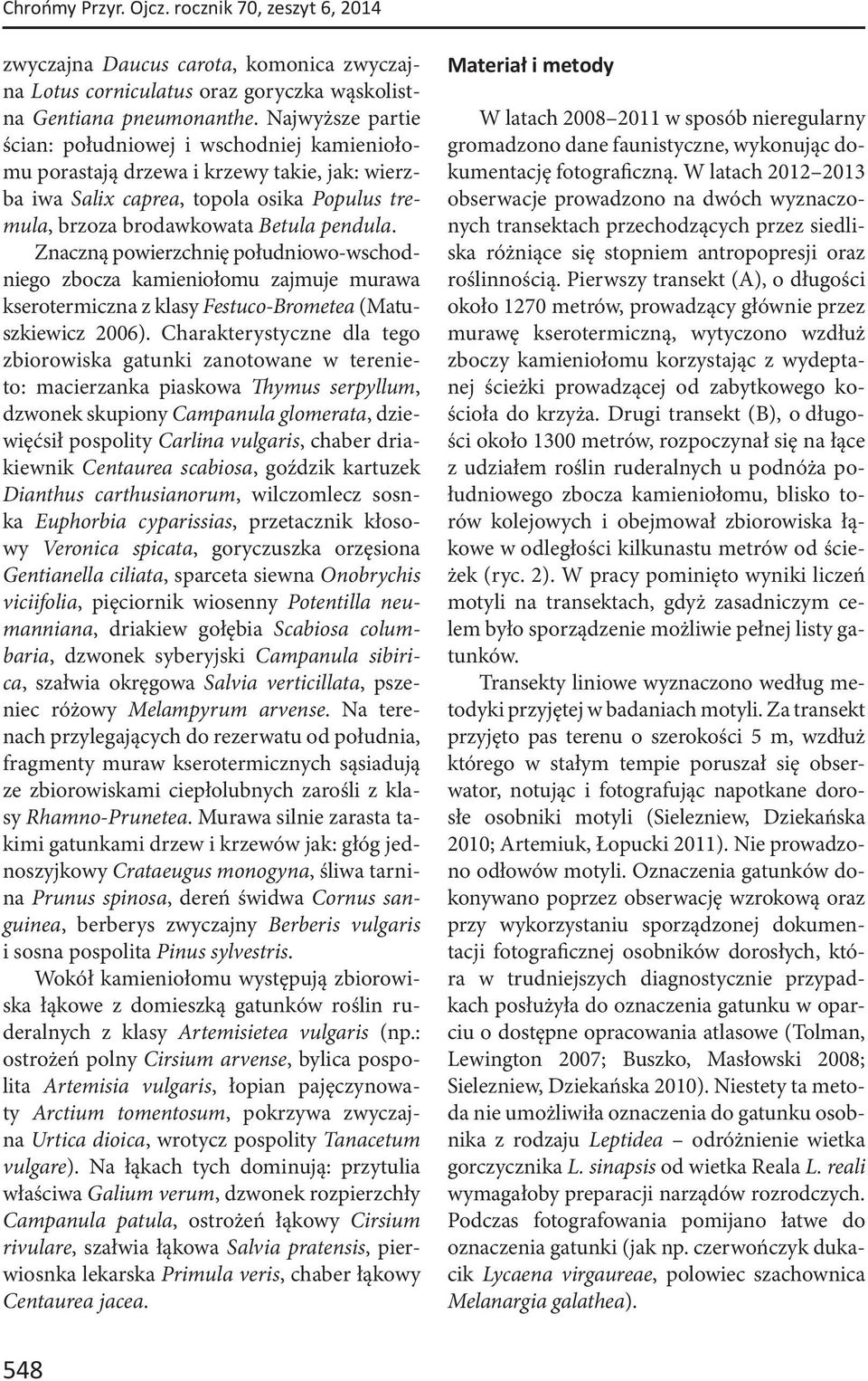 Znaczną powierzchnię południowo-wschodniego zbocza kamieniołomu zajmuje murawa kserotermiczna z klasy Festuco-Brometea (Matuszkiewicz 2006).