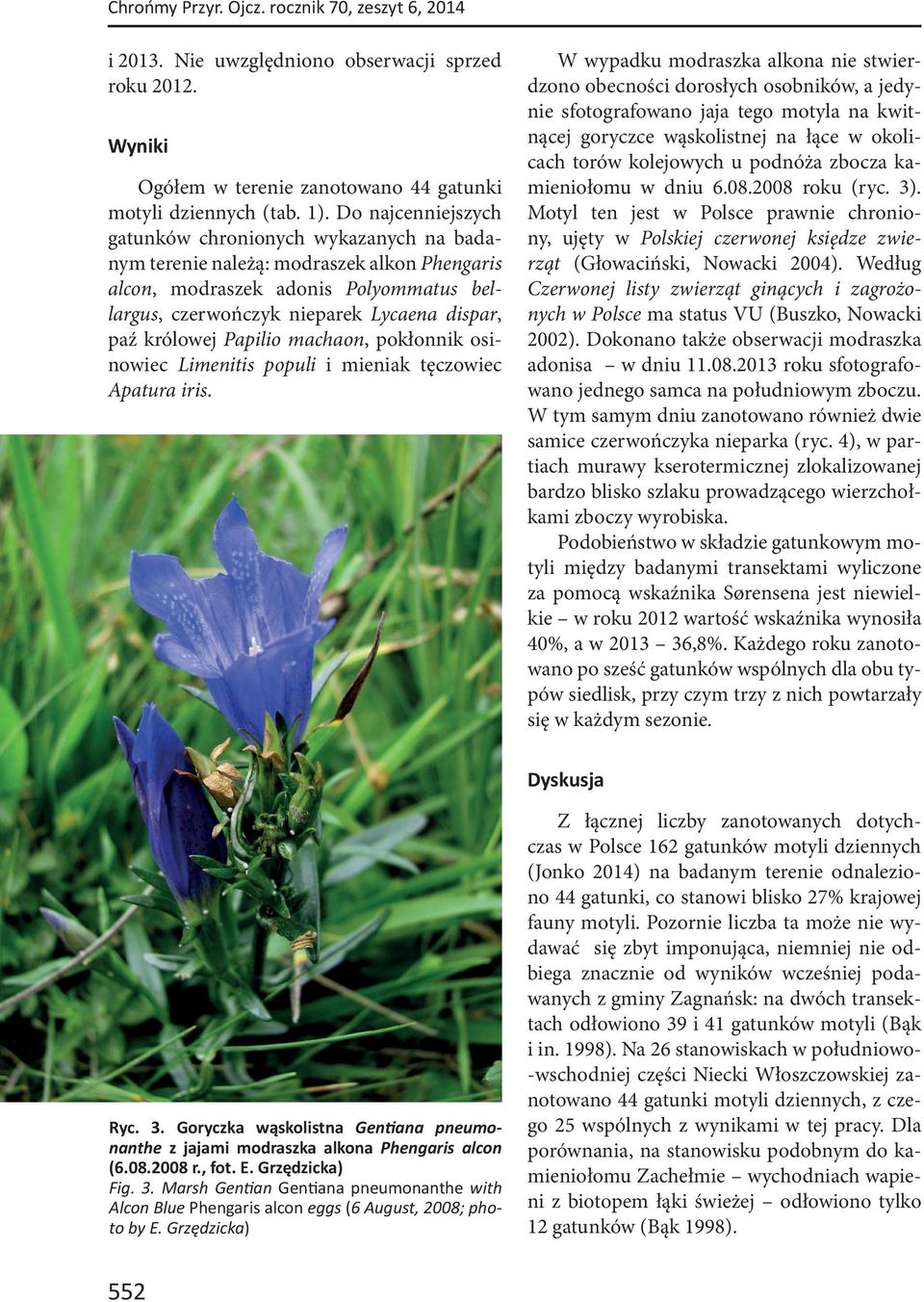 królowej Papilio machaon, pokłonnik osinowiec Limenitis populi i mieniak tęczowiec Apatura iris.