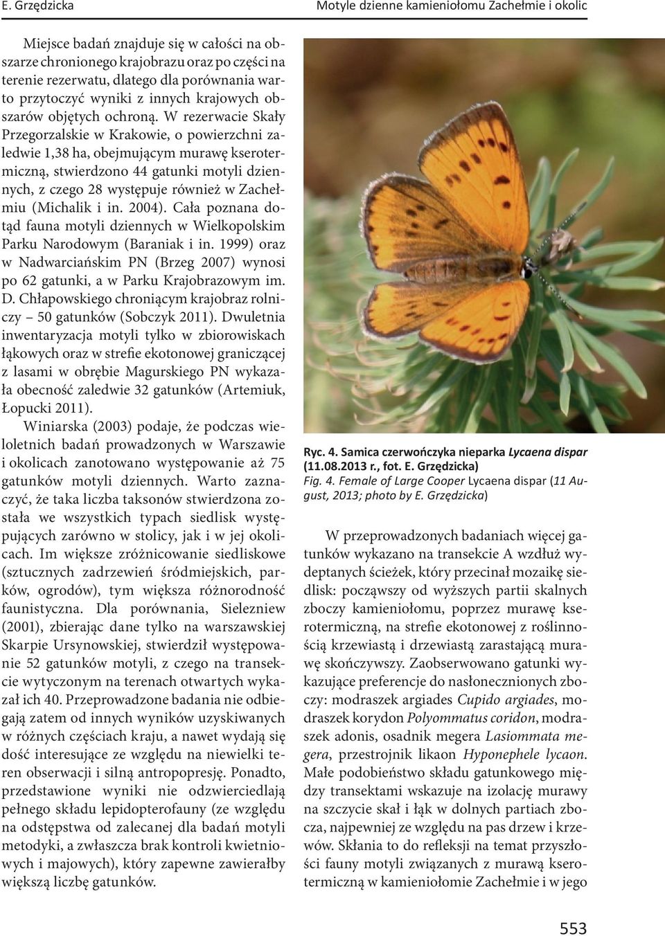 W rezerwacie Skały Przegorzalskie w Krakowie, o powierzchni zaledwie 1,38 ha, obejmującym murawę kserotermiczną, stwierdzono 44 gatunki motyli dziennych, z czego 28 występuje również w Zachełmiu