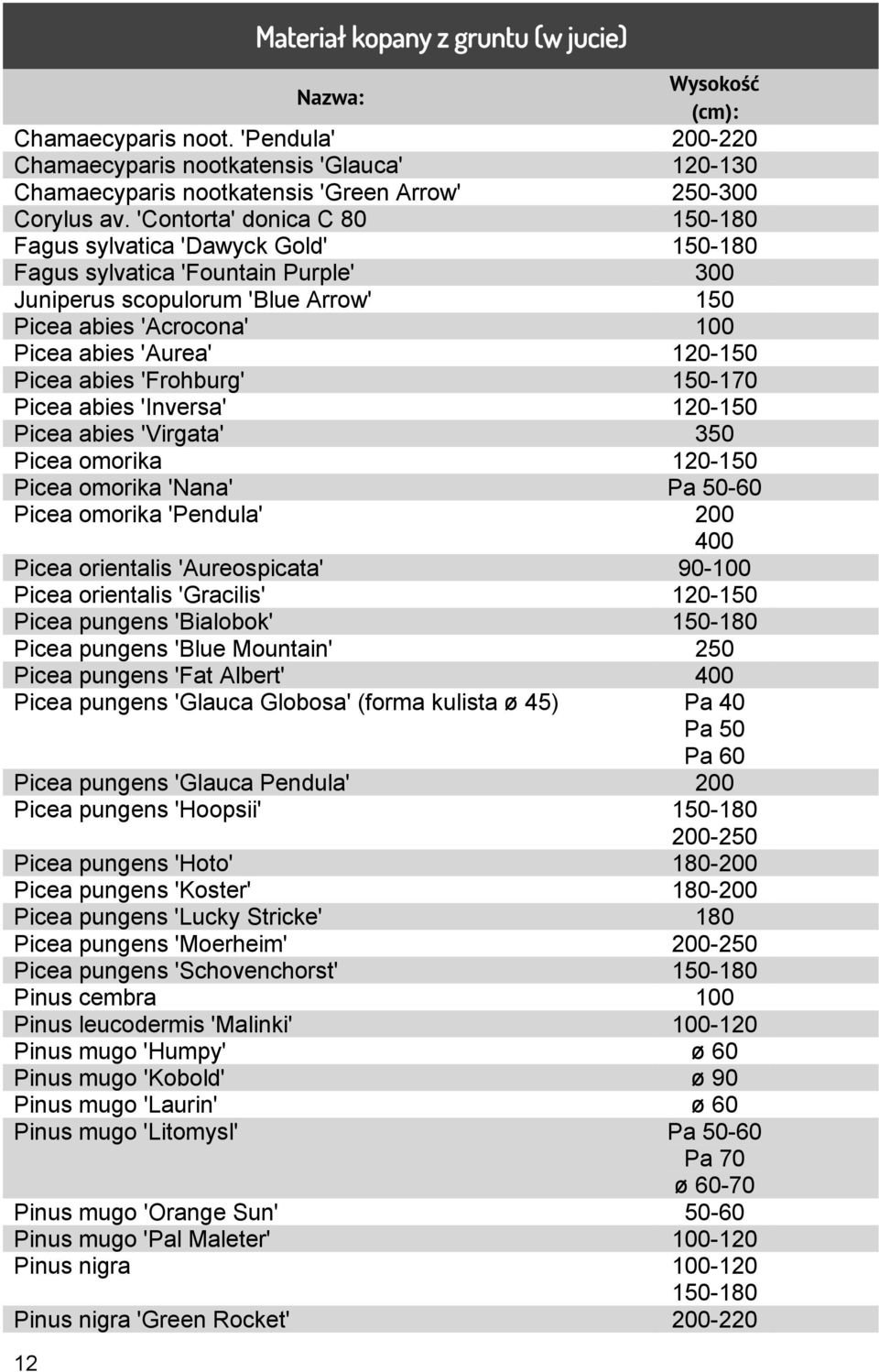 Picea abies 'Frohburg' 150-170 Picea abies 'Inversa' 120-150 Picea abies 'Virgata' 350 Picea omorika 120-150 Picea omorika 'Nana' Pa Picea omorika 'Pendula' 200 400 Picea orientalis 'Aureospicata'