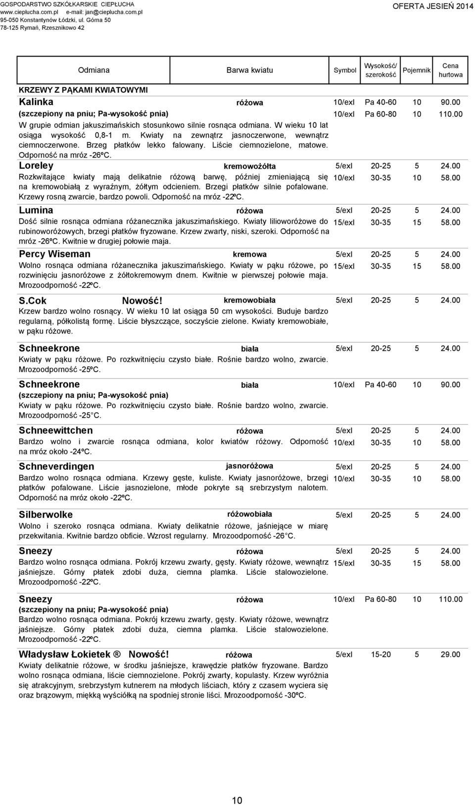 Liście ciemnozielone, matowe. Odporność na mróz -26ºC. Loreley kremowożółta 5/exI 20-25 5 24.00 Rozkwitające kwiaty mają delikatnie różową barwę, później zmieniającą się 10/exI 30-35 10 58.