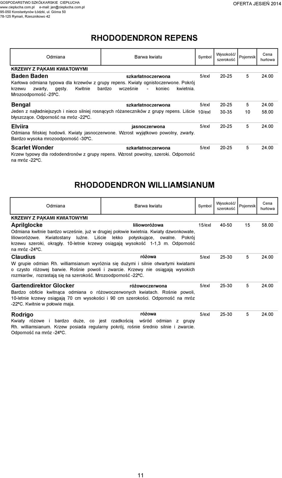 00 Jeden z najładniejszych i nieco silniej rosnących różaneczników z grupy repens. Liście 10/exI 30-35 10 58.00 błyszczące. Odporność na mróz -22ºC. Elviira jasnoczerwona 5/exI 20-25 5 24.