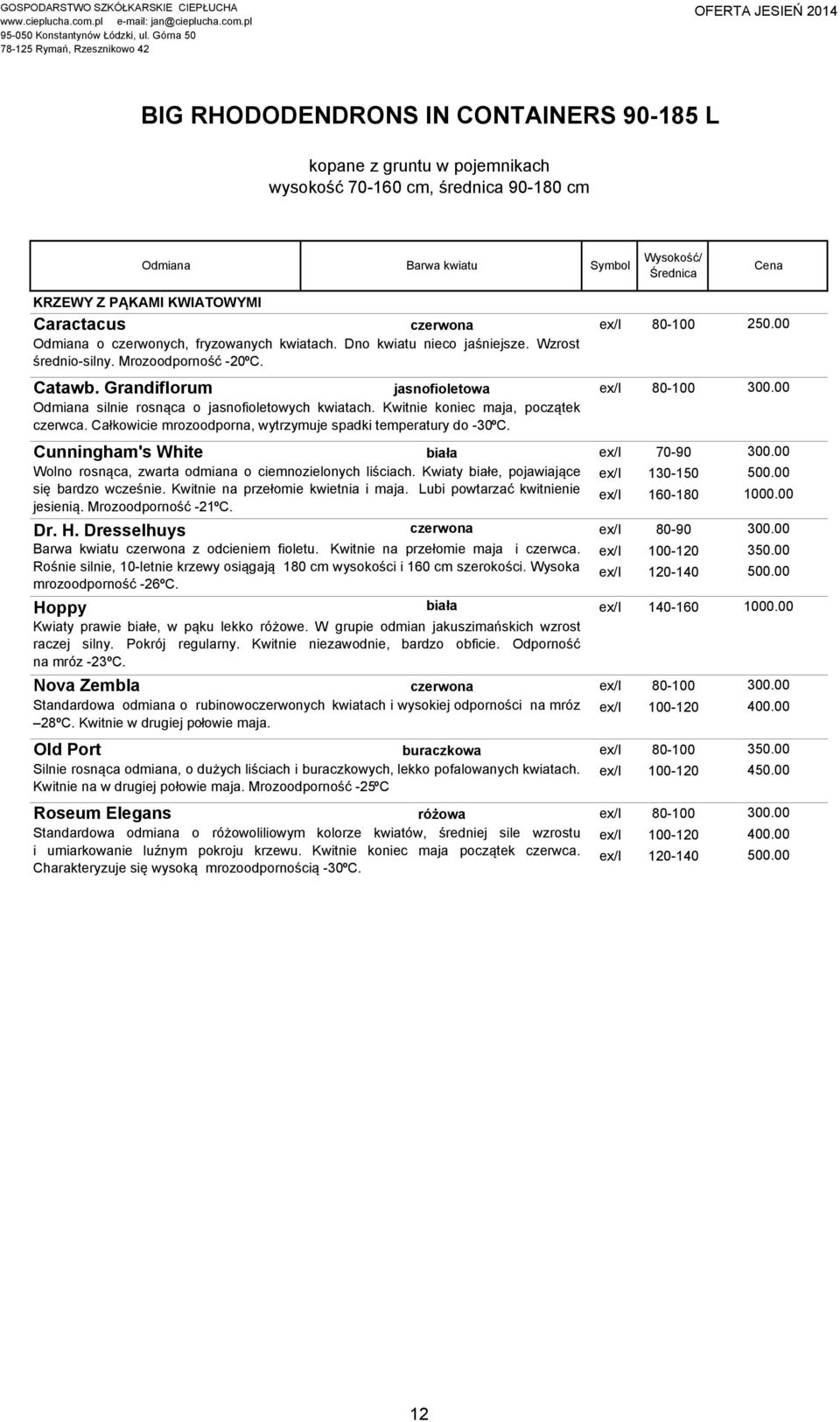 Grandiflorum jasnofioletowa ex/i 80-100 Odmiana silnie rosnąca o jasnofioletowych kwiatach. Kwitnie koniec maja, początek czerwca. Całkowicie mrozoodporna, wytrzymuje spadki temperatury do -30ºC.