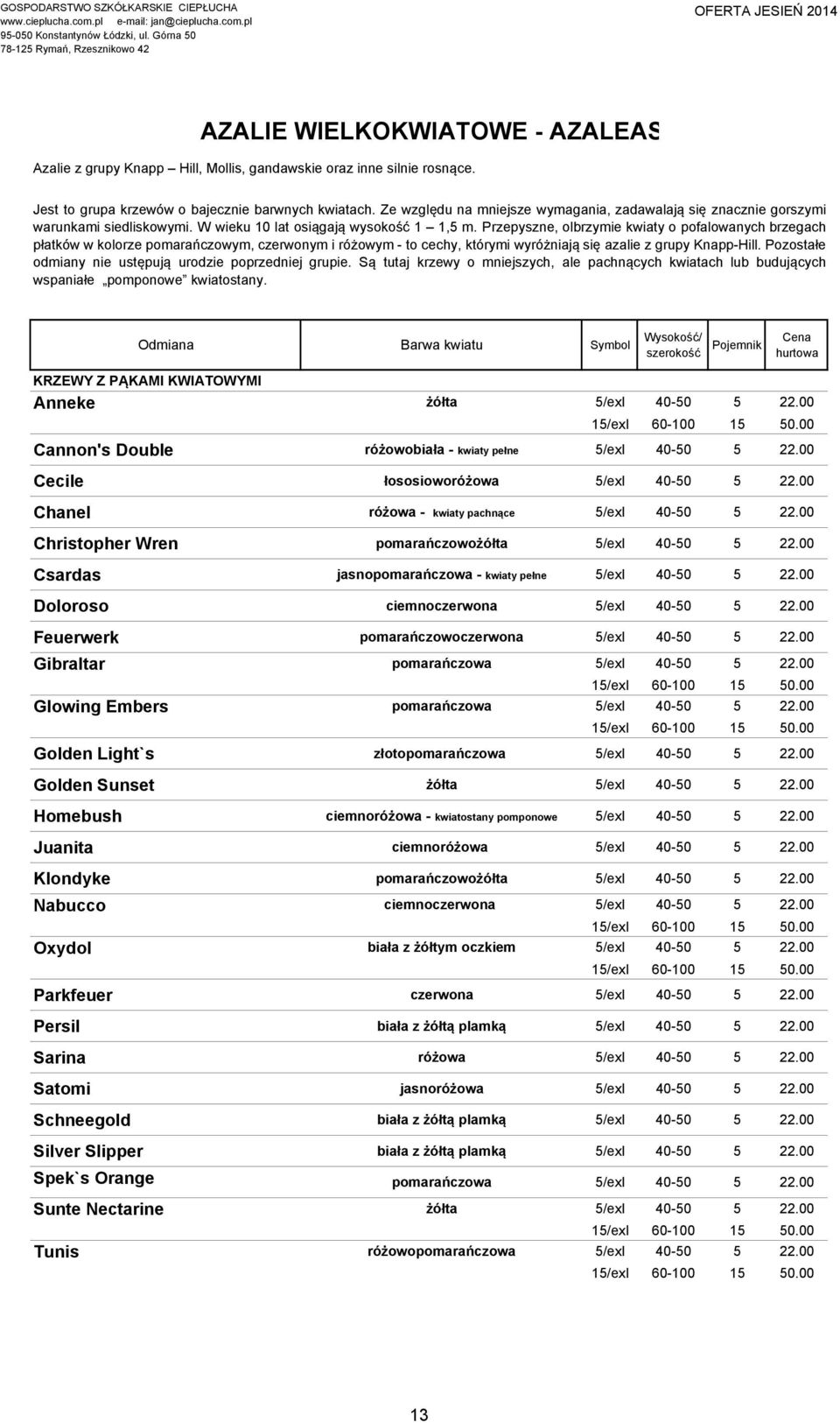 Przepyszne, olbrzymie kwiaty o pofalowanych brzegach płatków w kolorze pomarańczowym, czerwonym i różowym - to cechy, którymi wyróżniają się azalie z grupy Knapp-Hill.